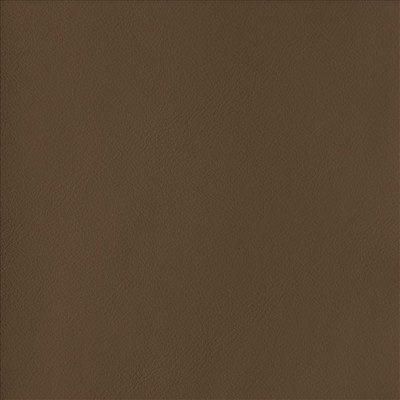 Kasmir BY DESIGN        COCOA           